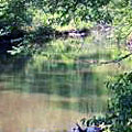 Click for Emuckfau Creek photo