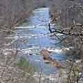 Click for Enitachopco Creek photo