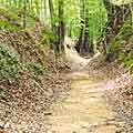 Click for Sunken Trace photo