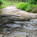 Select to view 2009 image of Coon Branch