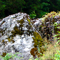 Select to view 2009 outcrop image 