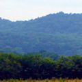 Select to view 2009 image of knobs near Talley Cemetery